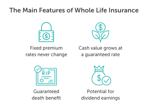 What is Whole Life Insurance?